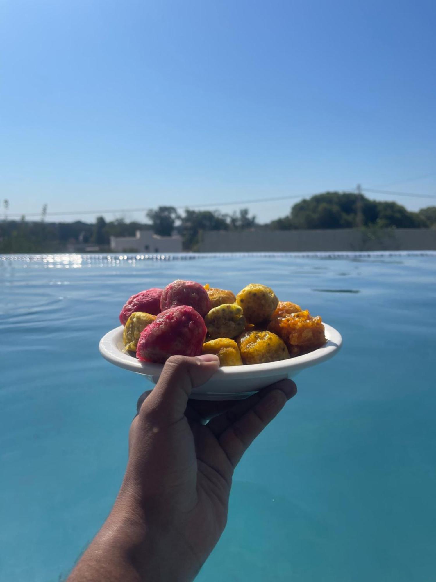 Dar Mabrouk Hammamet Ferienhaus Tunis